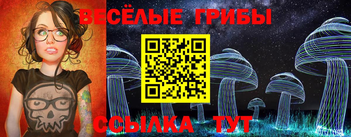 Псилоцибиновые грибы прущие грибы  Вход с VPN  Сертолово 